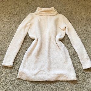 Turtle Neck Sweater Dress